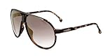 Taglia 62/12/130 Carrera Occhiali da Sole CHAMPION65/N WR9 BROWN HAVANA 62/12/130 UNISEX