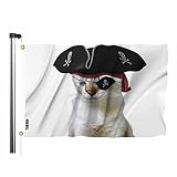 Swono Cat Pirate Flag 3x5 ft Funny Animal Skull Blindfold Triangular Hat Kitten Captain Flag Big Fla