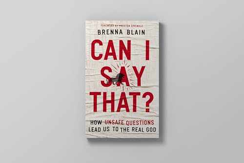Image of Can I Say That?: How Unsafe Questions Lead Us to the Real God