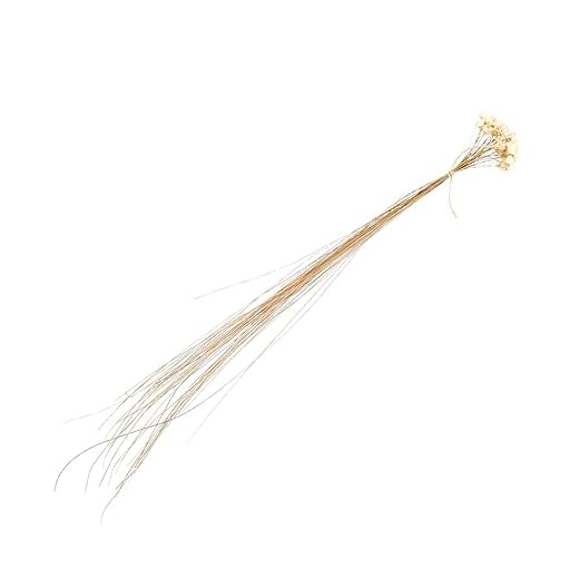 EXCEART Flor Seca Pequeña Margarita Ramo De Flores Secas Tallos De Flores Secas Mini Ramo De Margaritas Ramo De Margaritas Secas Decoración Boda Flor Artificial Blanco Natural Novia