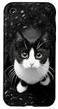 iPhone SE (2020) / 7 / 8 Tuxedo Cat Black and White Cute Kitten Tuxedo Cat Lovers Case