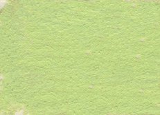 Girault Soft Pastel - English Green 187