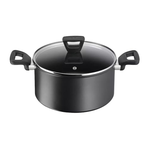 Tefal - Olla con tapa de 24 cm, todos los fuegos e inducción, G2974602