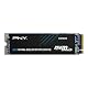 Pny CS1030