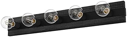 Hunter Fan Company 19063 Donelson Vanity Light, Natural Iron