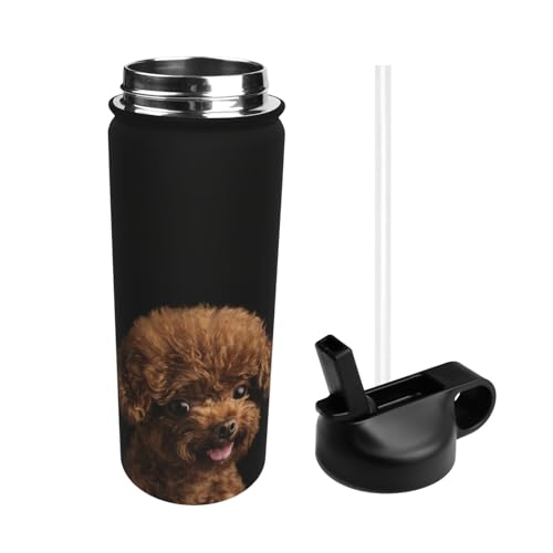  킢 v[h  X|[c{g @r e q l  Xg[t ۉۗ  v[g Mtg