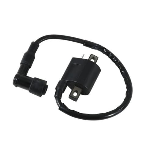 Bobine d'allumage 3051A-LLB1-900 pour MXU 150 tension de rechange 100V