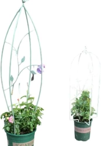 IWEJ gIxXNgX AT|[g EOp oRA[YEJ̃GhEEACr[EAxp 둕@\t ϋvL ŏv ϗtAEԒdp CeAEK[fG (ȉ~`̗1 + U^̔1)