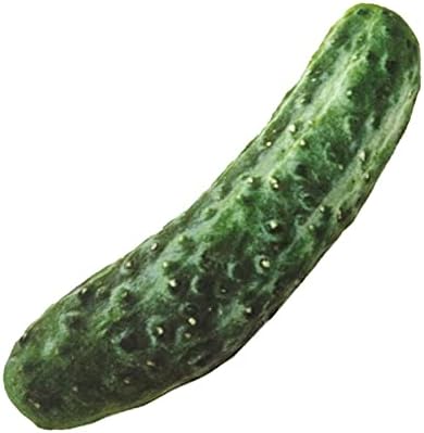 Amazon Co Jp 犬の噛み玩具 面白いシミュレーションペット犬のおもちゃのための小さな犬の抵抗性きしゃくされた子犬キャットのおもちゃの噛み犬のおもちゃペットproducts 犬のおもちゃ Color 12 Size Cat Toy Short Plush ペット用品 Amazon Co Jp 犬の噛み玩具 面白いシミュレーションペット犬のおもちゃのための小さな犬の抵抗性きしゃくされた子犬キャットのおもちゃの噛み犬のおもちゃペットproducts 犬のおもちゃ Color 12 Size Cat Toy Short Plush ペット用品