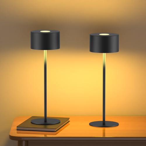 Lampada da Tavolo Senza Fili Tutto in Metallo, 3 Temperature di Luce & Dimmering infinito,...