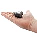 AC WORKS 15 Amp Household Plug to 20 Amp T-Blade Female Adapter