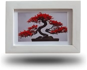 Quadro Decorativo 15x10cm em Acetato - Bonsai