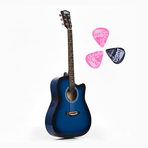 Image of Intern 41 Inch Guitar for Beginners With Truss Rod | musical instrument for adults | Acoustic guitar | Linden wood With Picks. (Blue)