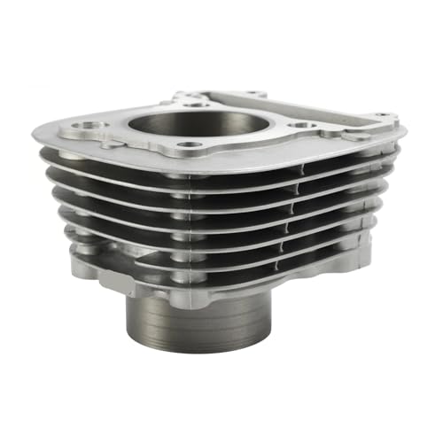 Kit cylindre piston 67mm stop fumée perte compression BW200