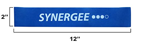 Synergee 10 Pack Mini Band Resistance Loop Exercise Bands Blue Heavy Resistance #TOP2