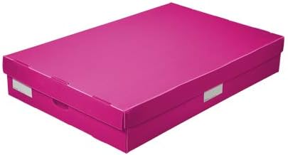 Reusable Plastic Under Bed Storage Box Collapsible Tote, Lightweight, Water-Resistant, (Pack of 2), Pink