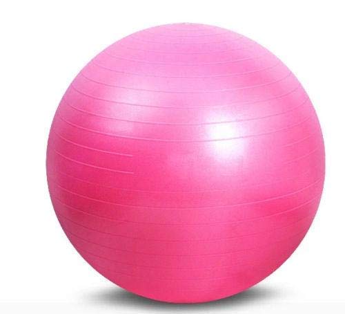Gym Exercise Anti Burst Swiss Yoga Aerobic Body Fitness Ball (Pink, 65cm)