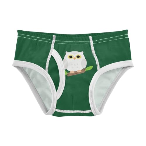 Cute Owl Bird Green Toddler Boy's Underwear 2T 2302236