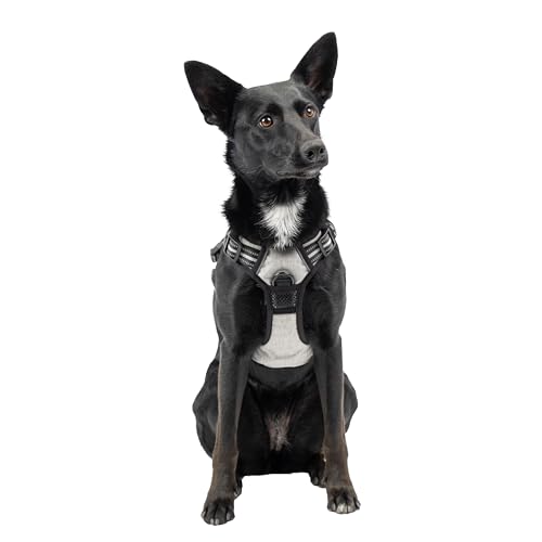 Ferplast Pettorina Cane Taglia Media, 2 Ganci per Massimo Controllo, Anti Tiro, Pettorina Cane Regolabile, Riflettente, Traspirante, Imbracatura Cani ideale per Addestramento M, Grigia