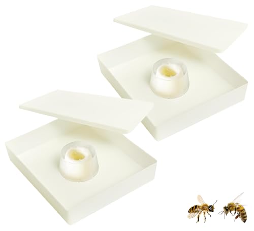 Protection interne pour mangeoire de ruche 6L plastique - 4