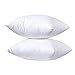 2 Unidades de Relleno de Cojín 45x45cm, Relleno de Cojín para Sofá o Cama, con Relleno de Algodón y Poliéster Reciclado, Suave e Indeformable, Hipoalergénicas, Juego de 2/4/6 Unidades. (45 x45cm-2P)