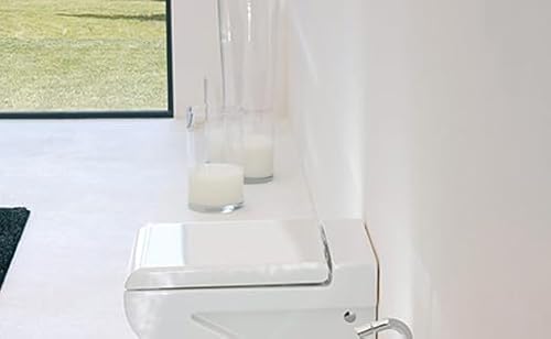 La fuente de WC-asiento artceram