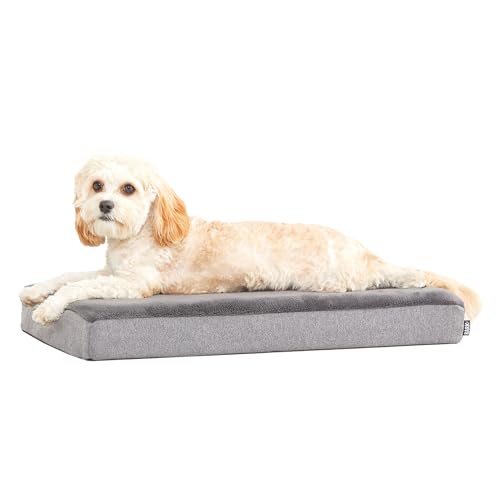 Barkbox Orthopedic Dog Bed with Memory Foam, Premium...