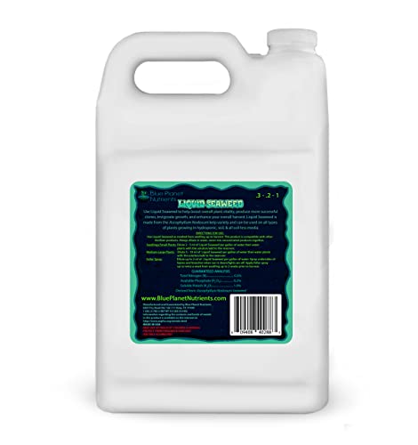 Liquid Kelp Seaweed Fertilizer Concentrate (Gallon) - Blue Planet Nutrients Ascophyllum Nodosum Liquid Seaweed Supplement - Makes 1,600+ Gallons - Organic Kelp for All Plants & Gardens