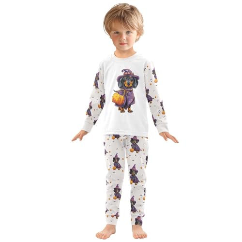 Fustylead Halloween Dachshund and Pumpkin Cotton Pajamas 2-Piece Long Sleeve Sleepwear Matching Set3