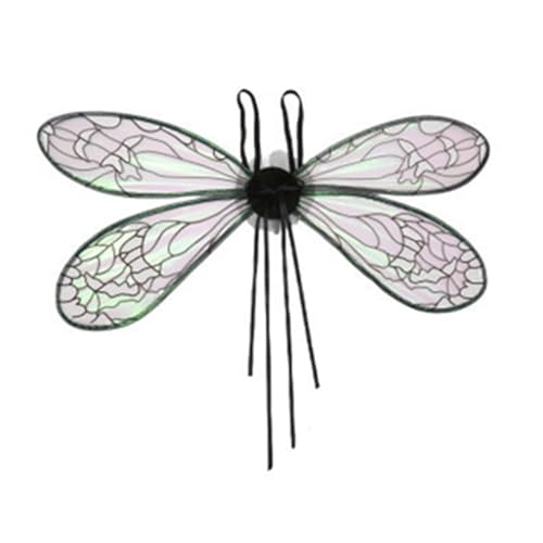Lodoot Ailes de cigales lumineuses à LED pour déguisement d'elfes ailes de princesse pour fête d'Halloween