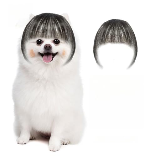best viral tiktok pet products
