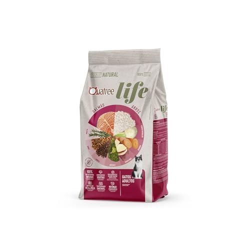 QUATREE LIFE GATOS FILHOTES 1KG