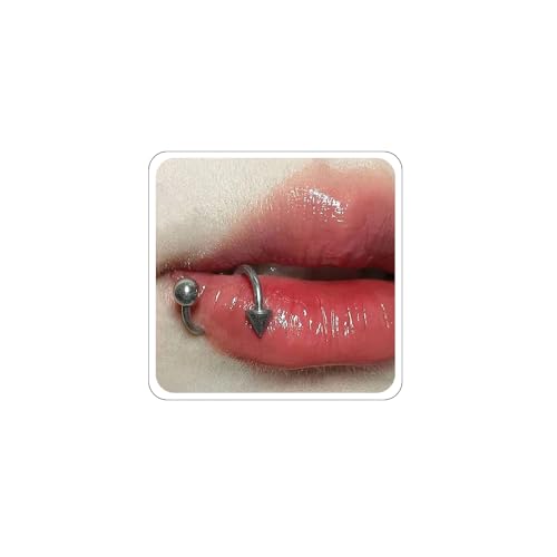 Egfyqzbryn SbvlCO XpCbvO pN XpCN ubgX^bh  gKX wbNXpCN X^bh XeXX`[ Vg̉ sAXWG[ jp (1.2 x 10 x 4)