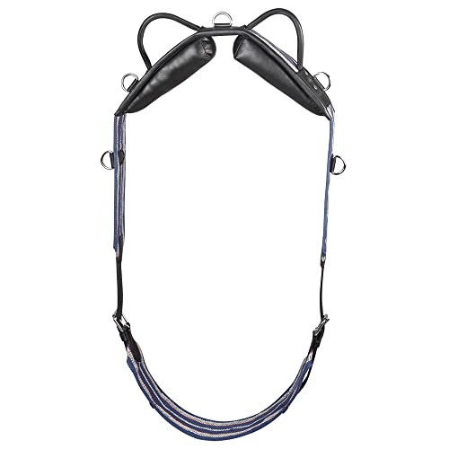 Voltigiergurt Pfiff 004191 mit 2 Griffen für sattelloses Reiten