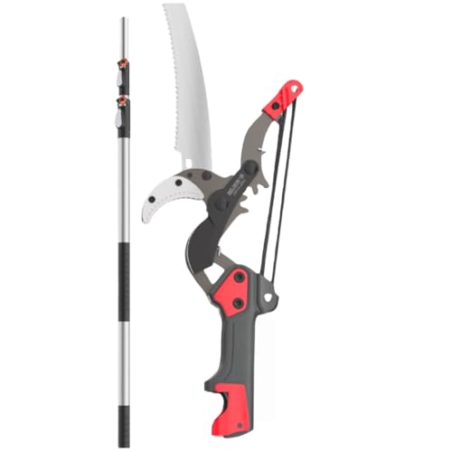 Deerou}؂oT~ ̂  K[fjOpi ݂̂A~jE Lk ݋@\t  RpNg ` 3m 5m 6m 7m }΂ nT~ |pi 뉀 y p y } (6m)