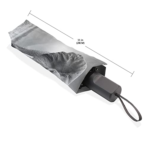 Parapluie robuste et élégant avec imprimé animalier exclusif