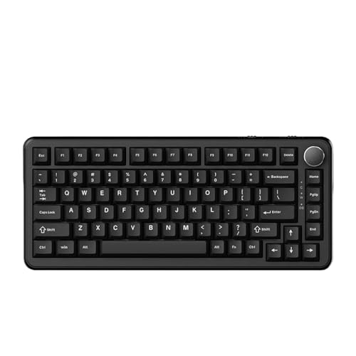 AK820�}�b�N�X���C�X�C�b�`�K�X�P�b�g���J�j�J���Q�[�~���O�L�[�{�[�h�z�b�g�X���b�v�����\�Ȓ჌�C�e���V�[�J�X�^��(Black no RGB)