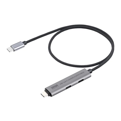 サンワダイレクト USB-Cケーブル USB C ハブ付き PD対応 PD 100W USB3.2 Gen1 5Gbps 持ち運び 急速充電 0.5m ブラック 400-HUBC34SBK