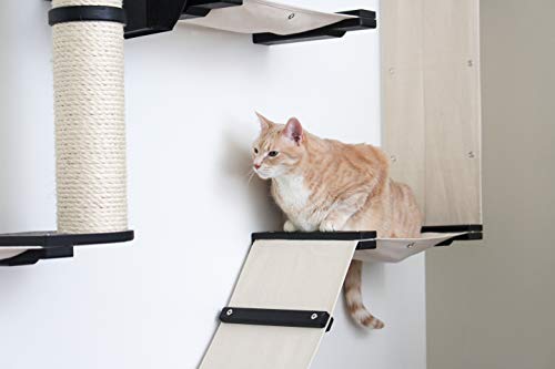 Catastrophicreations Gardens Set For Cats Multiple-Level Wall Mounted Scratch, Hammock Lounge, Play & Climbing Activity Center Furniture Cat Tree Shelves #TOP3