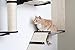 CatastrophiCreations Gardens Set for Cats Multiple-Level Wall Mounted Scratch, Hammock Lounge, Play & Climbing Activity Center Furniture Cat Tree Shelves