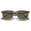C04 Coffee Tortoise Frame Green Lenses
