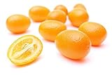 Kejora Fresh Kumquats 2 Lbs