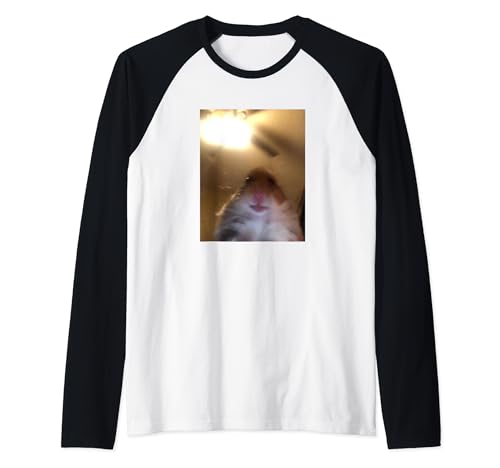 Hamster mirando a cámara Meme Camiseta Manga Raglan