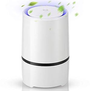 EXTSUD Luftreiniger mit True HEPA Filter, Desktop Luftfrischer Air Purifier Ionisator mit LED Licht Perfekt gegen Staub Wohnung Haus Büro Auto