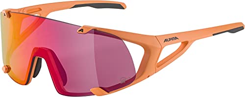 Lunettes de sport ALPINA Hawkeye S Q-lite contre la fatigue oculaire