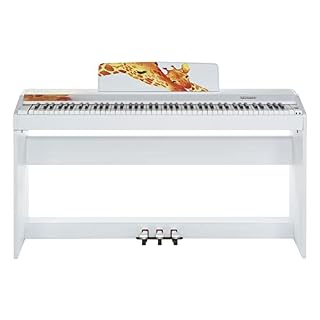 keymaXX CP-3 Digital Piano – Motiv Giraffe – Piano numérique - Les Beatles, Paul McCartney, John Lennon, RIngo Starr, George Harrison