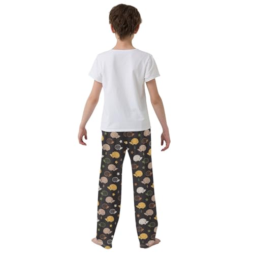 ZZXXB Hedgehog and Stars Boys Long Pants Soft Trousers Elastic Waist Kids Lounge Bottoms with Pockets S-XL3