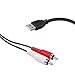 Duttek USB to RCA Cable, RCA Audio Aux Cable, USB 2.0 Male to 2 RCA Male Video AV A/V Converter PC Stereo Y Splitter Adapter for Audio Capture Card Splitter Adapter Cable for TV/Mac/PC (5 Ft/1.5m)