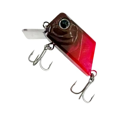 �u���b�N�o�X�ނ�p���A�[, �t�b�N�t�������a ���V�x�C�g �ނ�j�t�� �����ނ�, �\���g�E�H�[�^�[ ���A�[, �j���A���O���[ �ނ�l ���� �g���E�g �i�}�Y �E�H�[���[ �N���b�s�[ �u���[�M�� �ނ� �� �� �C�� �W�� �p