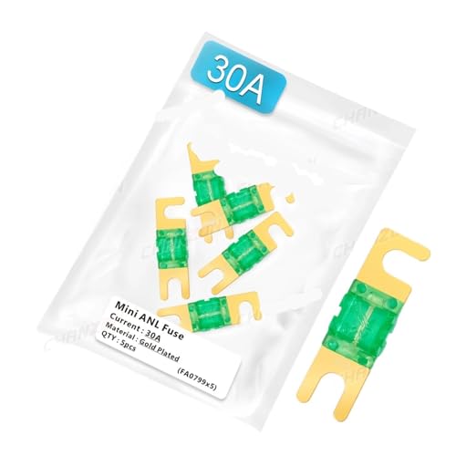 Fusible à boulon auto 60A éliminant les coupures de courant de l'ampli
